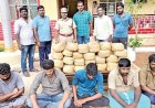 ஆந்திராவில் இருந்து கேரளாவிற்கு அடிமாடுகளுடன் 42 கிலோ கஞ்சா கடத்தல் !