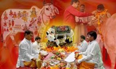 உத்தரப் பிரதேசம் : காசியில் கோமாதா கோவிலில் !
